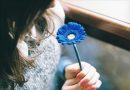 Nhân Mã có hợp với Bảo Bình không?