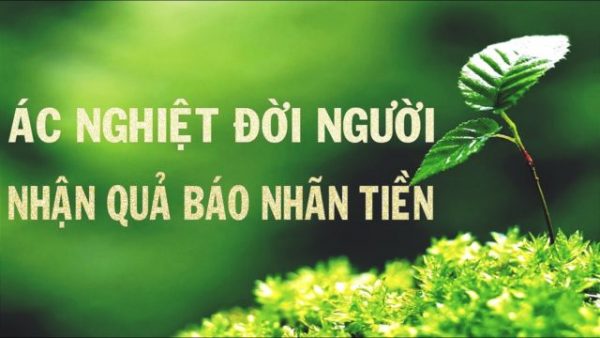 Những câu chuyện có thật về nhân quả báo ứng