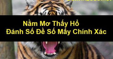 Mơ thấy hổ có ý nghĩa như thế nào