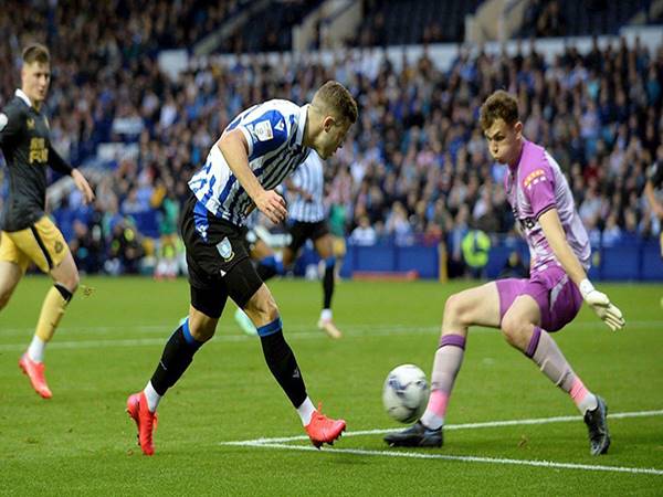 Nhận định bóng đá Sheffield Wednesday vs Harrogate, 02h00 ngày 10/11