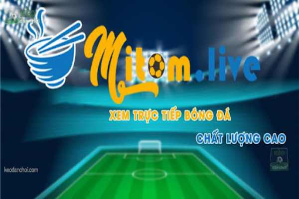 Điểm mạnh /yếu của Mitom 1 Tv