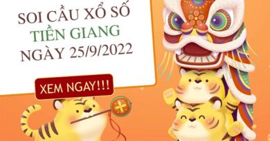 Soi cầu lô VIP xổ số Tiền Giang ngày 25/9/2022 chủ nhật hôm nay