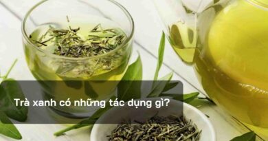 Tác dụng của trà xanh với sắc đẹp và sức khỏe