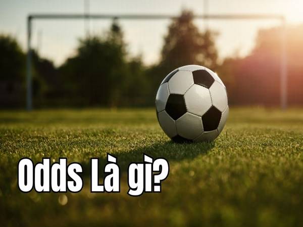 Odds là gì? Vai trò của Odds như thế nào trong dự đoán