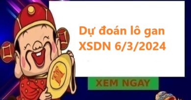 Dự đoán lô gan XSDN 6/3/2024