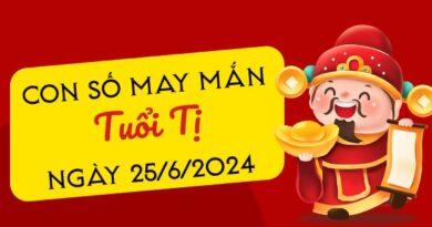 Con số may mắn tuổi Tị hôm nay ngày 25/6/2024