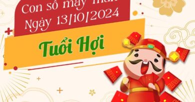 Tổng hợp con số may mắn tuổi Hợi hôm nay ngày 13/9/2024