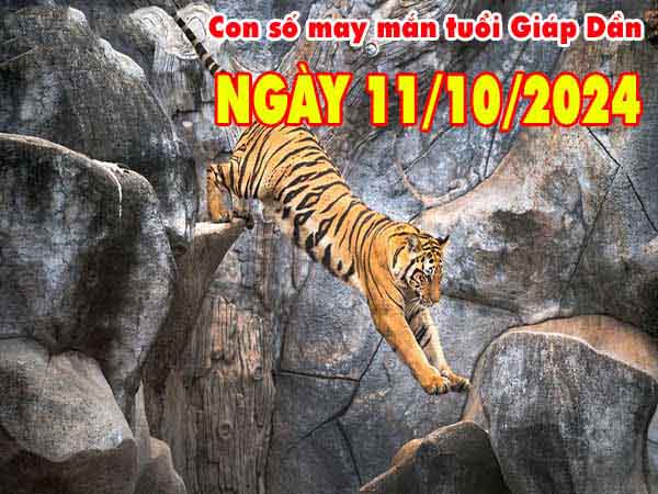 Con số may mắn tuổi Giáp Dần ngày 11/10/2024 thứ 6 hôm nay